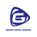 Grupo G